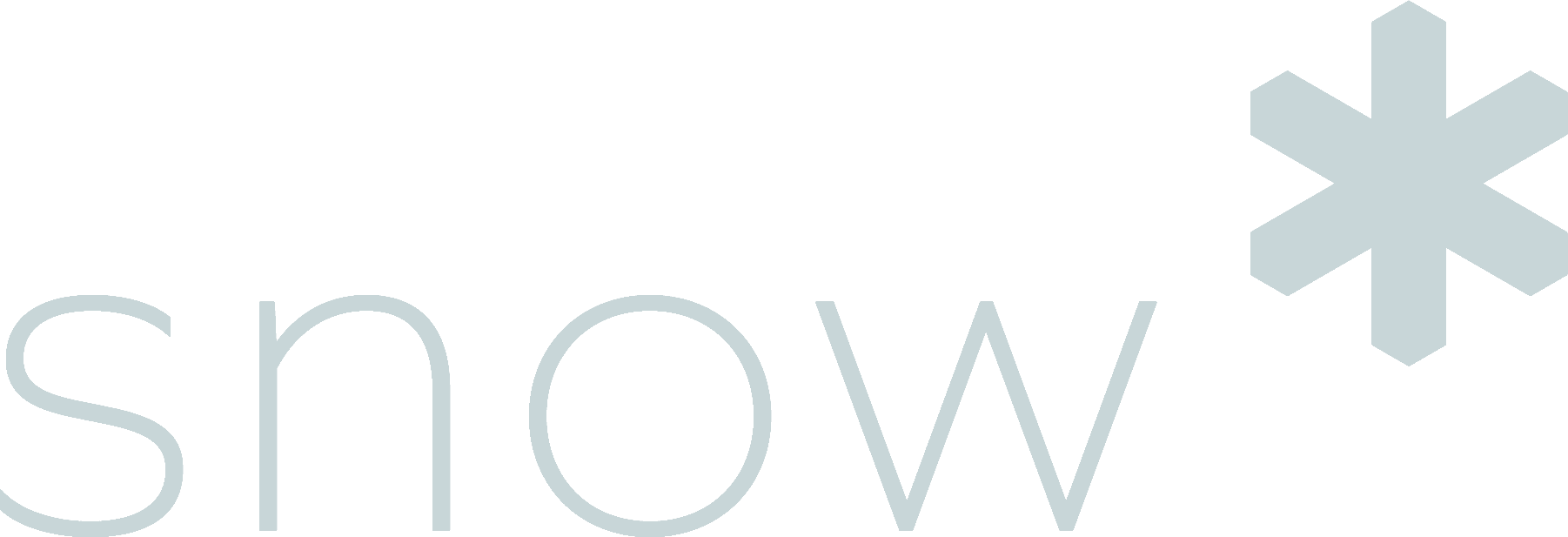 Snow Software